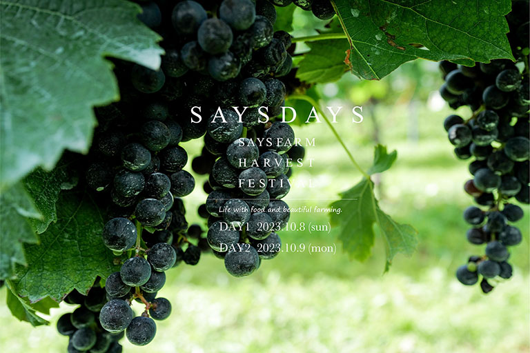 SAYS DAYS:SAYS FARM HARVEST FESTIVAL